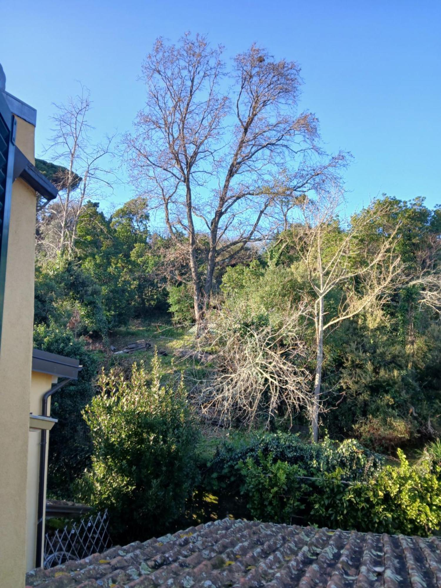 Casa Misha Tra 5 Terre E Versilia Bocca di Magra Exteriör bild